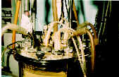 wpe2.jpg (5639 octets)